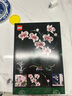 樂(lè )高（LEGO）積木拼裝10311 蘭花永生花男孩女孩女生玩具教師節禮物 曬單實(shí)拍圖