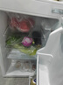 志高電冰箱雙門(mén)家用節能冰箱出租屋冷藏冷凍環(huán)保迷你冰箱辦公室公寓租房宿舍低噪電冰箱 S192銀色一級能效【萬(wàn)人推薦】 曬單實(shí)拍圖