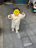 巴拉巴拉童裝兒童套裝寶寶兩件套童裝2025秋冬裝夾棉保暖可愛(ài)208425104201 曬單實(shí)拍圖