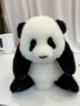 熊貓工廠(chǎng)官方5月齡萌蘭仿真熊貓基地可愛(ài)玩偶抱枕節日生日禮物毛絨玩具 5月齡萌蘭 長(cháng)35*寬35*高38 曬單實(shí)拍圖