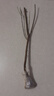 紫霞仙子流蘇花樹(shù)苗陽(yáng)臺盆栽室內外花卉濃香型耐寒耐熱全國可種植 H5流蘇樹(shù)苗室內外南北方種植 三年小樁 曬單實(shí)拍圖