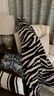 諾雪絲曼高級感斑馬紋沙發(fā)蓋毯半邊絨毯子辦公室午睡午休毯航空毯裝飾毛毯 斑馬紋 130x170cm 曬單實(shí)拍圖