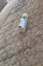 華美科氨甲環(huán)酸精華液醫黃褐斑用祛斑美白提亮去黃改善暗沉膚色濕敷1支 曬單實(shí)拍圖