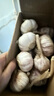 紫白皮蒜即食水果大蒜今年新鮮干蒜生鮮調(diào)料蒜瓣 大蒜帶箱 2斤 單果3.5-4.5cm 曬單實(shí)拍圖