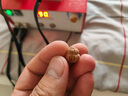 攻玉超力王F600牙機無(wú)刷雕刻機小型電動(dòng)翡翠玉石木雕核雕大功率打磨機 主機+F600雙卡【2.35】+鑼機手柄 全套鑼機夾頭 曬單實(shí)拍圖