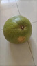 泰國青柚進(jìn)口柚子新鮮水果沙田白糖蜜柚當季整箱批發(fā)2/4個(gè)裝 正宗-泰國青柚1個(gè)裝 特惠裝(單果1.2斤-1.5斤) 曬單實(shí)拍圖