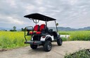 高爾夫球車(chē)四座4人6座兩座坐出口小型旅游觀(guān)光電動(dòng)車(chē)四輪酒店擺渡巡邏看房電瓶車(chē)拉貨球場(chǎng)高爾夫車(chē) C款4+2座鉛酸高配 曬單實(shí)拍圖