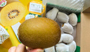 佳沛（zespri）新西蘭  陽(yáng)光金果16粒經(jīng)典果單果 77-103g 中秋水果禮盒 獼猴桃 曬單實(shí)拍圖