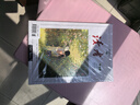 【當當正版】讀者春夏秋冬季卷合訂本 讀者科學(xué)少年一句話(huà)點(diǎn)醒孩子文摘文學(xué)文摘期刊初高中作文素材課外時(shí)文閱讀 【2024版4本套】春夏秋冬 曬單實(shí)拍圖