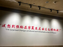 【超值特惠 僅29.9】干濕兩用雪尼爾平板拖把一拖即凈超強吸水HTC 加大加厚雪尼爾拖把一套 曬單實(shí)拍圖