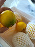優(yōu)味集冬蜜黃晶果海南牛奶雅美新鮮稀有孕婦水果鮮果時(shí)令生鮮 1斤凈重裝（單果100g+） 曬單實(shí)拍圖