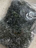 鹽漬裙帶菜新鮮海帶涼拌菜海帶苗火鍋煲湯食材裙帶菜嫩芽一等品 鹽漬裙帶菜250g×1包 曬單實(shí)拍圖