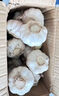 紫白皮蒜即食水果大蒜今年新鮮干蒜生鮮調料蒜瓣 5頭大蒜 0.36斤 曬單實(shí)拍圖
