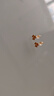 周六福小金花足金999黃金耳釘女生日禮物計價(jià)AC090379  一對 約0.64g 曬單實(shí)拍圖