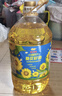 金龍魚(yú) 食用油 非轉基因 物理壓榨玉米油6.18L（蘊含植物甾醇） 曬單實(shí)拍圖