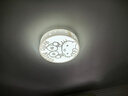 佛山照明(FSL)LED燈盤(pán)吸頂燈燈芯圓形改造燈板改裝光源環(huán)形替換led燈條模組 40W/正白光/升級款 曬單實(shí)拍圖