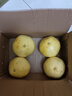 琪江果福建黃金葡萄柚 當季西柚黃肉小柚子新鮮水果整箱 黃金葡萄柚4.5-5斤4-6個(gè) 曬單實(shí)拍圖