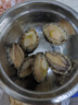 繽鮮 國產(chǎn) 新鮮熟凍海捕大鮑魚(yú)430g凈重10-12頭-源頭直發(fā) 曬單實(shí)拍圖