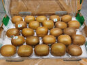 佳沛（zespri）綠奇異果特大果22-25個(gè)原箱裝單果約133-176g 水果禮盒獼猴桃 曬單實(shí)拍圖