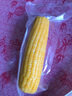新鮮黃糯白糯黑糯玉米真空包裝速食玉米軟糯香甜代餐早餐美味 黃糯玉米180g-220g 2根裝 曬單實(shí)拍圖