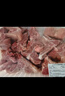  【180天白豬家庭裝】冰鮮帶肉脊骨1kg 曬單實(shí)拍圖