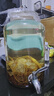 卓譽(yù)瀘州高粱酒自飲泡酒專(zhuān)用52度清香型白酒桶裝純糧食酒5L散酒約10斤 曬單實(shí)拍圖