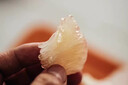 正宗仙游度尾30年老樹文旦柚紅心柚新鮮現(xiàn)摘當(dāng)季水果柚子精品果 50斤袋子裝【精品大果】 曬單實拍圖