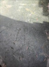 家可美石材清洗劑地鋪石戶(hù)外花崗巖石材地板裝修瓷磚清潔溶解強力去污垢 地鋪石清洗劑1500ML 曬單實(shí)拍圖
