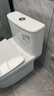 恒潔（HEGII）馬桶 家用虹吸式大沖力坐便器 速沖節水防臭 靜音降緩蓋板 包安裝 【抗菌座圈】一級水效HC0518PT 305坑距（適用300-345mm） 曬單實(shí)拍圖