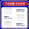 協(xié)和奕然堂生長(cháng)貼醫院同款兒童青少年長(cháng)身高貼個(gè)子促發(fā)育青少年11-17歲 拍一發(fā)五【發(fā)育遲緩增高貼】 青少年長(cháng)高6-18歲高高貼 曬單實(shí)拍圖