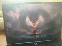 聯(lián)想拯救者R7000P 2025 游戲筆記本電腦(銳龍9 8940HX 16G 1T RTX5060 2.5K 240Hz 黑)國家補貼20% 曬單實拍圖