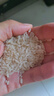 國寶橋米油粘米10斤長(cháng)粒大米 湖北魚(yú)米之鄉煲仔飯用米好吃南方秈米新米 曬單實(shí)拍圖