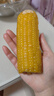 京鮮生東北黃玉米棒200g×8棒25年新玉米 真空黏玉米 多種包裝 源頭直發(fā) 曬單實(shí)拍圖