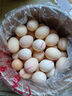 無(wú)抗鮮雞蛋 谷物喂養鮮雞蛋 50±5克/枚 早餐食材 蛋香味十足 30枚裝 曬單實(shí)拍圖