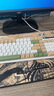 方正（Founder）K450鍵盤(pán)三拼升級版 機械手感游戲電競筆記本臺式電腦外設 全尺寸有線(xiàn)單鍵盤(pán)【卡其】 曬單實(shí)拍圖
