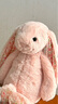 Jellycat花布邦尼兔動(dòng)物毛絨玩偶兔子玩偶兒童禮物娃娃生日新婚禮物 徹蕊（胭脂粉色） Medium 曬單實(shí)拍圖