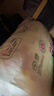 嬰芽（YINGYA）紙尿褲L碼2包100片【8-11.5kg】嬰兒超薄干爽尿不濕男女寶寶通用 曬單實(shí)拍圖