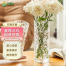 呂姆克花瓶玻璃簡(jiǎn)約擺件富貴竹大號高花瓶水培容器直筒冰紋瓶高30cm5622 曬單實(shí)拍圖