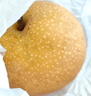 京鮮生 青青大地萊陽(yáng)羊脂秋月梨 凈重4.5斤 6-8粒 生鮮水果 禮盒裝 曬單實(shí)拍圖