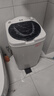 志高（CHIGO）脫水機甩干機小型迷你家用甩干桶出租房宿舍大容量單杠脫水桶烘干一體 9.8【不銹鋼內(nèi)桶】加厚款 曬單實拍圖