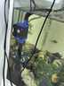 格池（GRECH）潛水泵CQJ-700G款8W 凈水增氧過(guò)濾三合一過(guò)濾水泵 曬單實(shí)拍圖