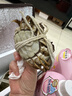 【活蟹】湖鮮陽(yáng)澄大閘蟹全母3.3-3.6兩8只去繩足重現貨鮮活水產(chǎn)超大螃蟹送禮海鮮禮盒裝 曬單實(shí)拍圖