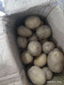 黃心土豆新鮮洋芋馬鈴薯黃皮應季蔬菜整箱優(yōu)質(zhì)土豆現摘美味蔬菜 凈重5斤【現挖現發(fā)】超值裝 新鮮現挖 曬單實(shí)拍圖