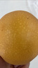 源大圣 GIGREATSAGE正宗山東萊陽(yáng)秋月梨當季新鮮水果整箱梨子現摘產(chǎn)地直發(fā)蜜雪梨禮盒 果王普通裝凈重4.8斤（3-4個(gè)） 曬單實(shí)拍圖