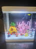 技研精工魚(yú)缸客廳小型桌面超白玻璃過(guò)濾懶人生態(tài)魚(yú)缸240+海綿寶寶造景 曬單實(shí)拍圖