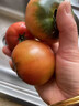 【順豐】草莓西紅柿鐵皮柿子丹東堿地自然熟綠腚油柿子水果番茄 5斤 特惠裝【順豐發(fā)貨】 曬單實(shí)拍圖