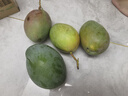 京覓 攀枝花凱特芒果 5斤單果400g+ 新鮮水果生鮮應當季甜 源頭直發(fā) 曬單實(shí)拍圖