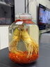 瀘州老窖 紅高粱酒 濃香型白酒 52度5L 大桶純糧泡酒自飲 節(jié)日送禮 曬單實拍圖