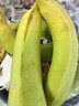 正宗廣西百色自然熟香蕉新鮮水果旺達口感香甜青蕉發(fā)貨皮薄好吃 田東香蕉1斤（帶箱） 青皮發(fā)貨 曬單實(shí)拍圖