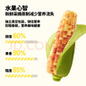 華田禾邦【新玉米】云南香糯小玉米2斤 新鮮甜黏玉米粒棒苞米 早餐代餐 曬單實(shí)拍圖